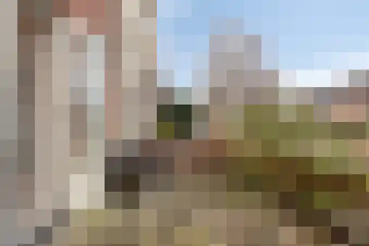 Woldstraat 70 02 Meppel thumbnail 31