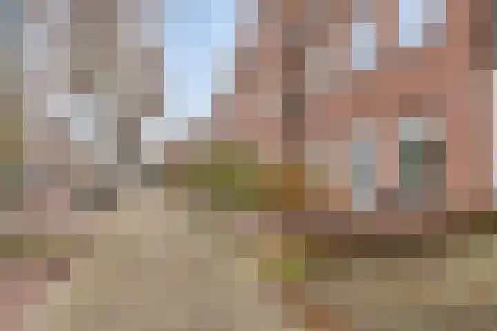Woldstraat 70 02 Meppel thumbnail 33