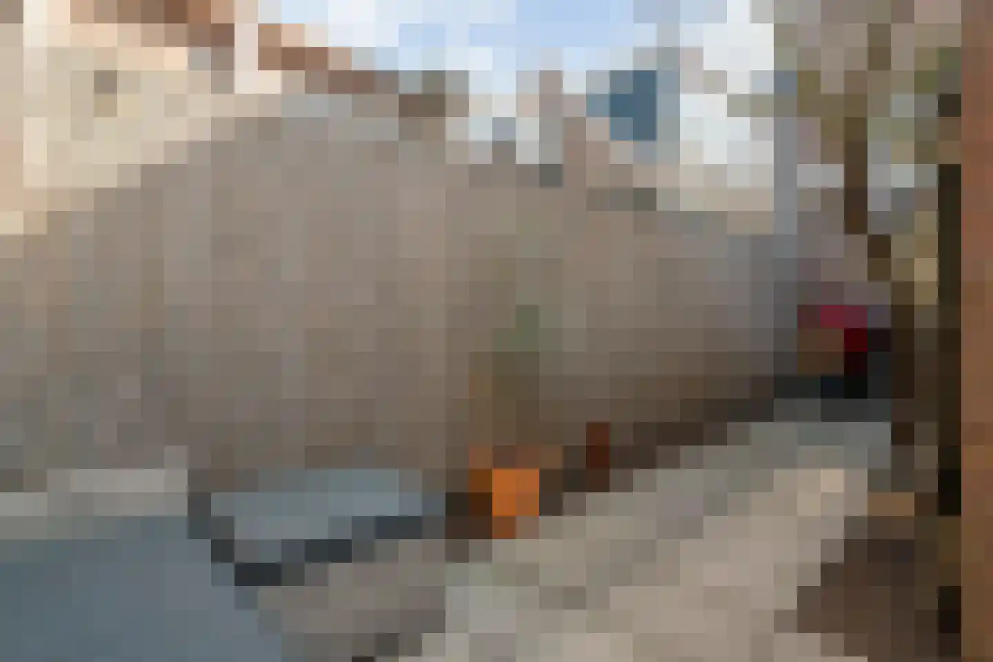 Woldstraat 73 Meppel thumbnail 35