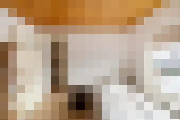 Woldweg 11 Groningen thumbnail 25