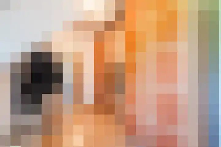 Woldweg 12 Sebaldeburen thumbnail 35
