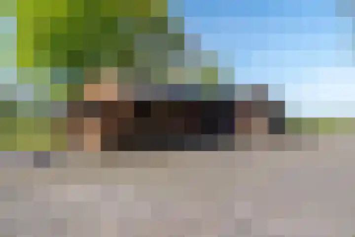 Woldweg 12 Sebaldeburen thumbnail 5
