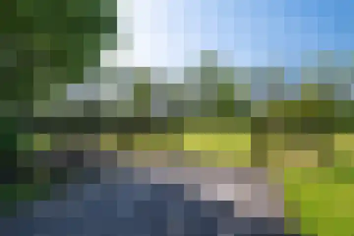 Woldweg 12 Sebaldeburen thumbnail 56