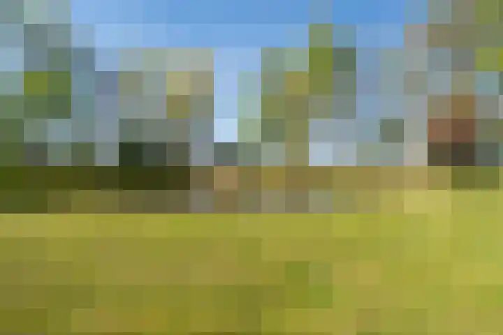 Woldweg 12 Sebaldeburen thumbnail 57