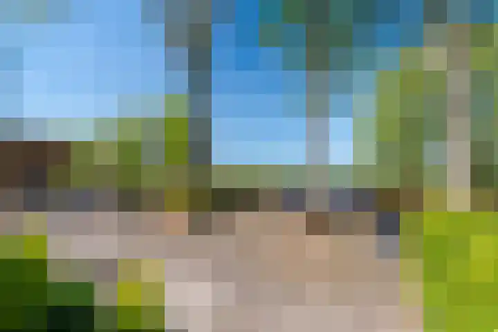 Woldweg 12 Sebaldeburen thumbnail 6