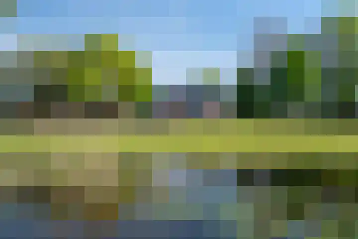 Woldweg 12 Sebaldeburen thumbnail 60