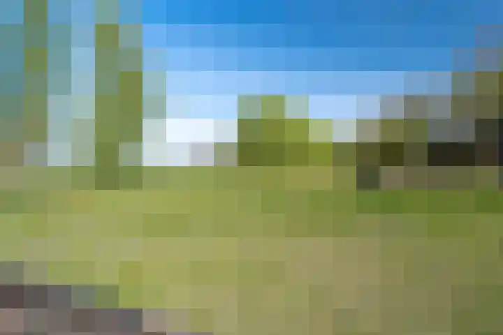 Woldweg 12 Sebaldeburen thumbnail 61