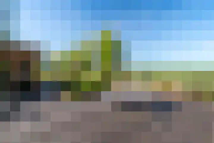 Woldweg 12 Sebaldeburen thumbnail 63