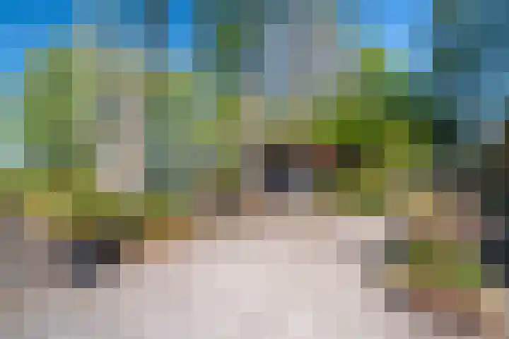 Woldweg 12 Sebaldeburen thumbnail 64
