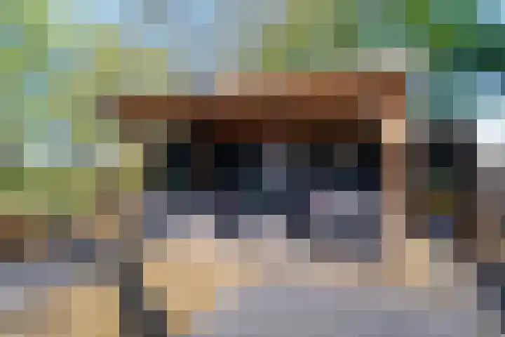 Woldweg 12 Sebaldeburen thumbnail 65