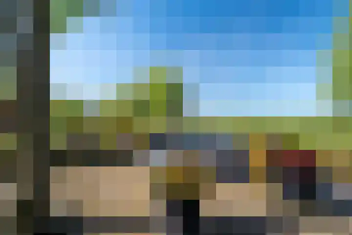 Woldweg 12 Sebaldeburen thumbnail 66