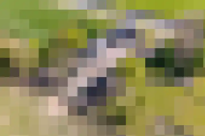 Woldweg 12 Sebaldeburen thumbnail 67