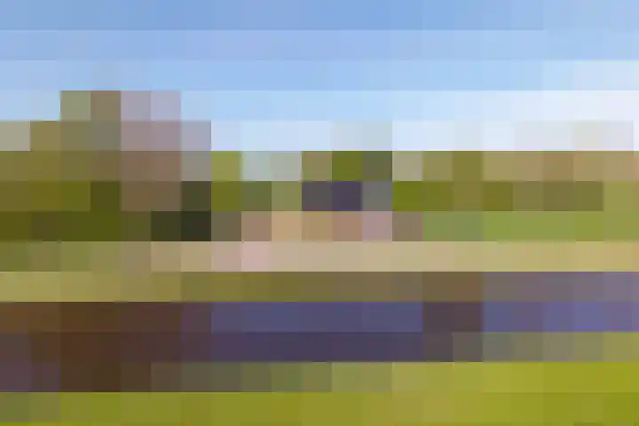 Woldweg 12 Sebaldeburen thumbnail 69