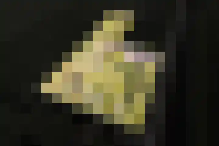Woldweg 12 Sebaldeburen thumbnail 7
