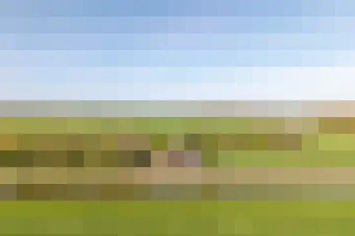 Woldweg 12 Sebaldeburen thumbnail 70