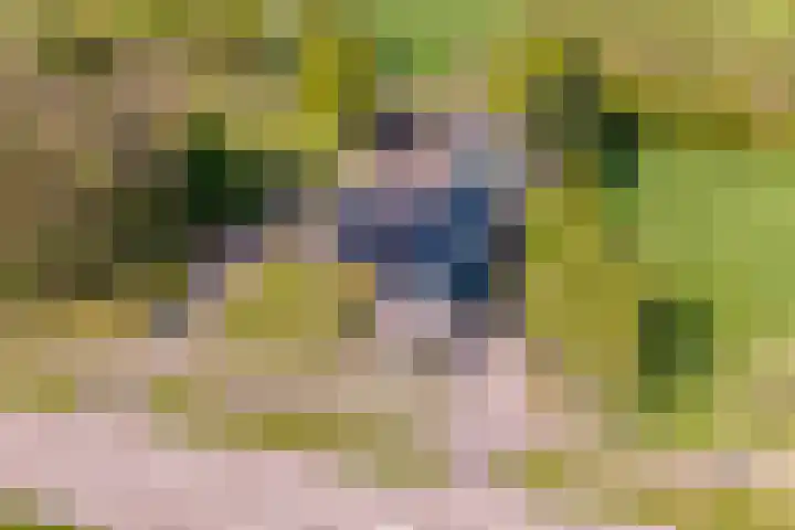 Woldweg 12 Sebaldeburen thumbnail 71
