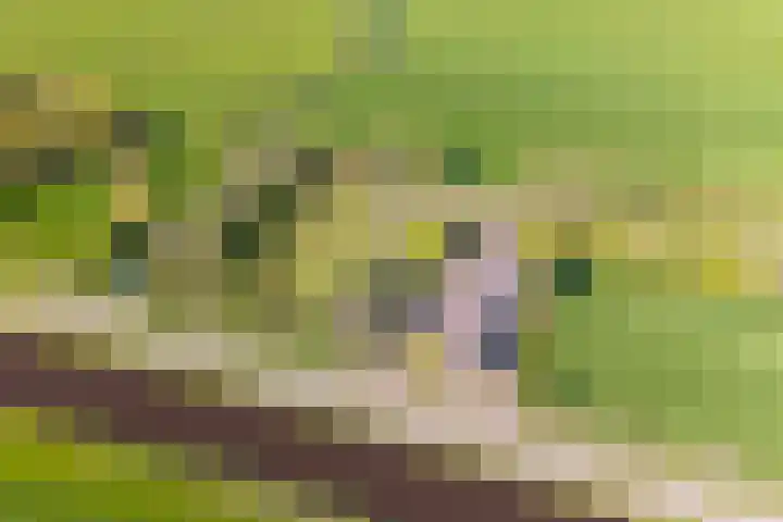 Woldweg 12 Sebaldeburen thumbnail 72
