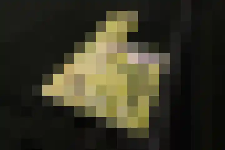 Woldweg 12 Sebaldeburen thumbnail 74