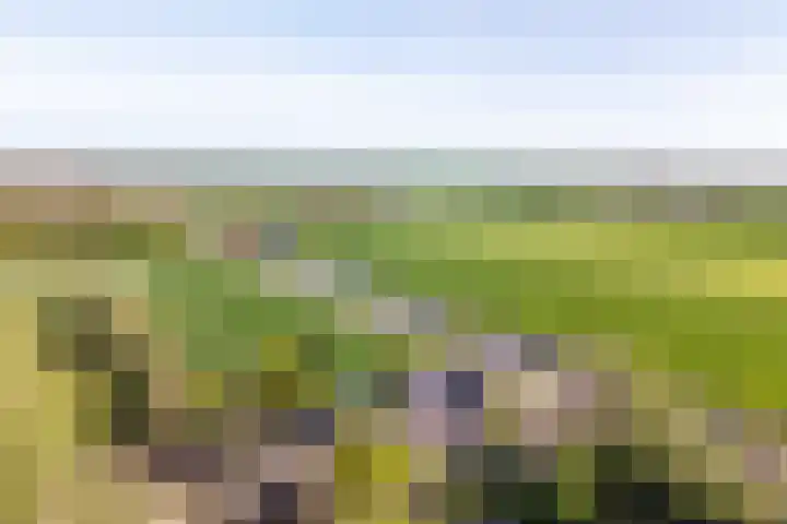 Woldweg 12 Sebaldeburen thumbnail 75