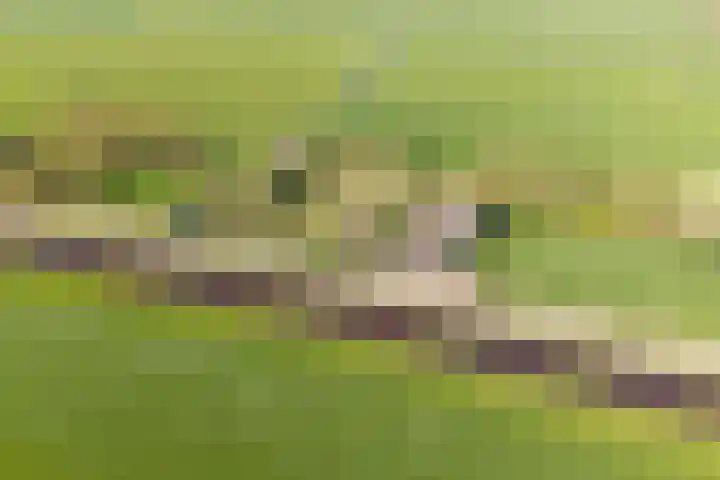 Woldweg 12 Sebaldeburen thumbnail 76