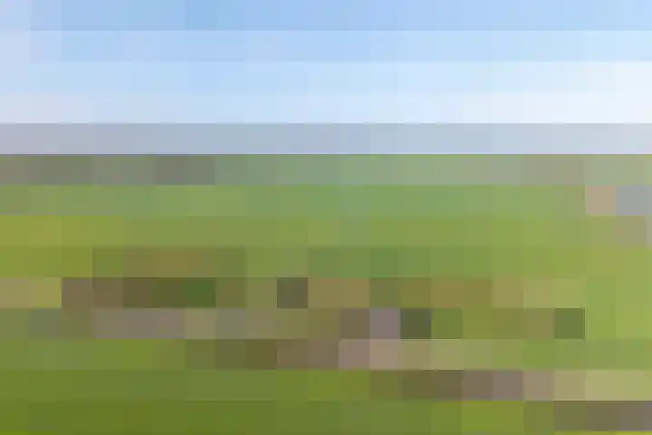 Woldweg 12 Sebaldeburen thumbnail 77