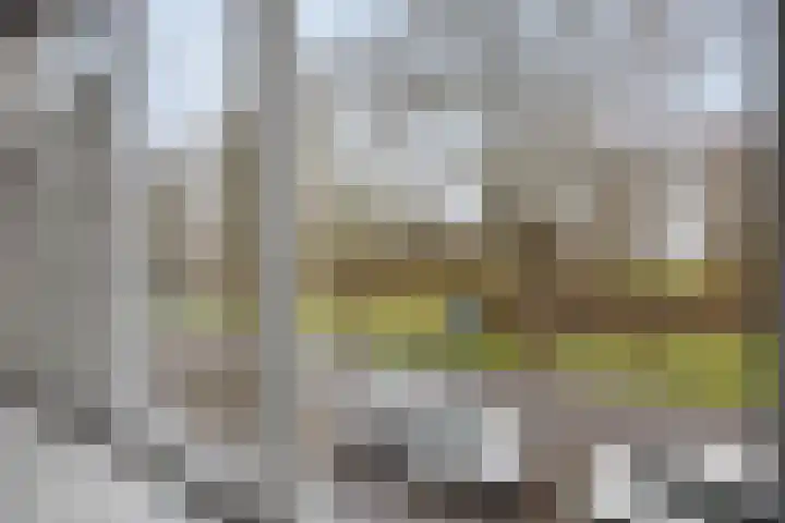 Woldweg 13 Foxhol thumbnail 32
