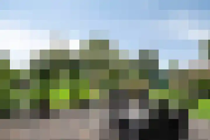Woldweg 145 b Kropswolde thumbnail 27