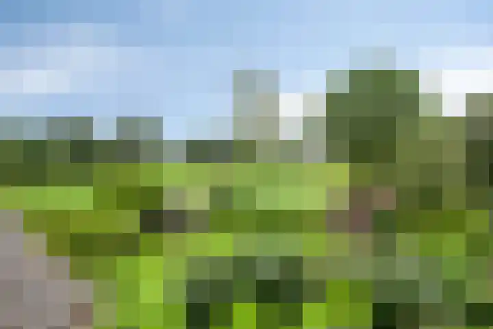 Woldweg 145 b Kropswolde thumbnail 32