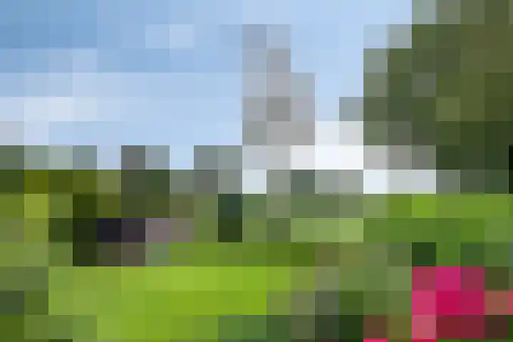 Woldweg 145 b Kropswolde thumbnail 33