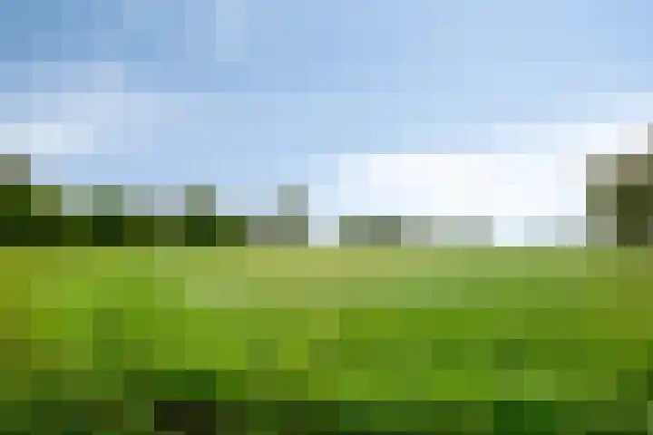 Woldweg 145 b Kropswolde thumbnail 36