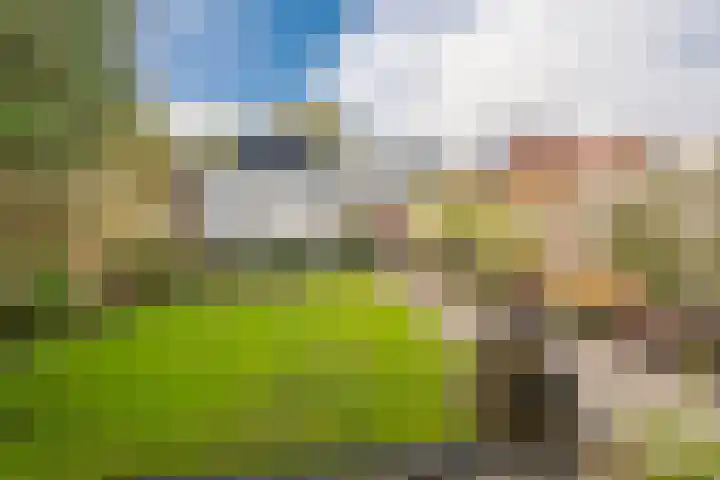 Woldweg 15 Foxhol thumbnail 12