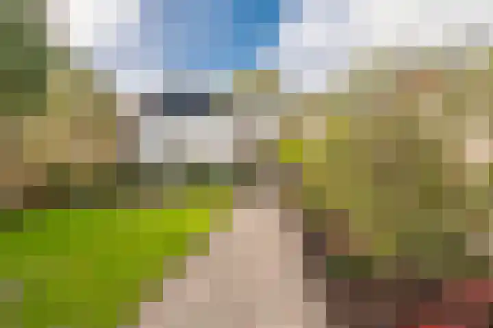 Woldweg 15 Foxhol thumbnail 13