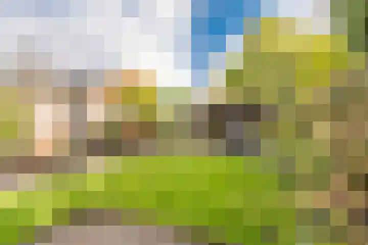 Woldweg 15 Foxhol thumbnail 14