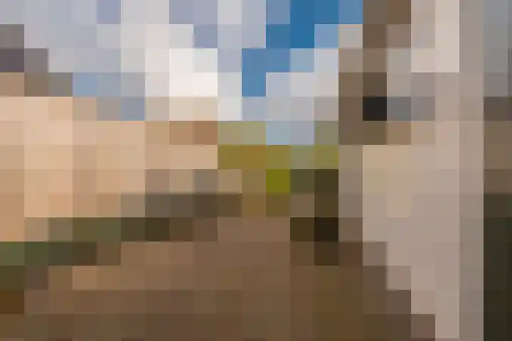 Woldweg 15 Foxhol thumbnail 17