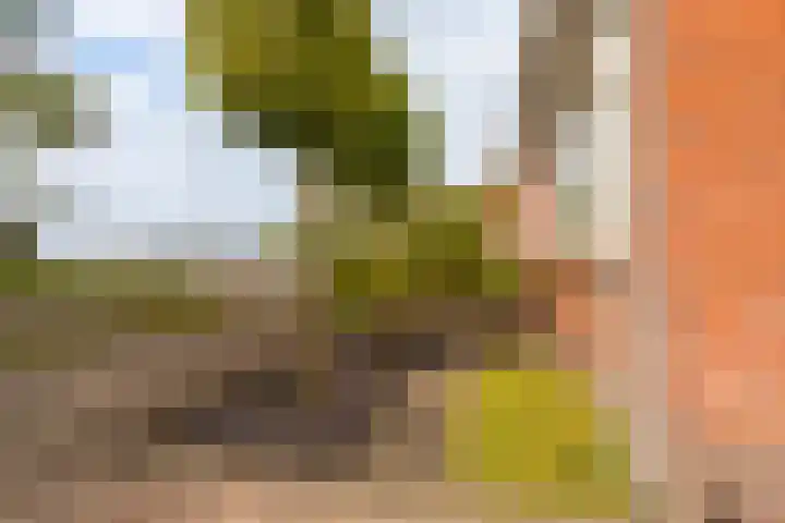 Woldweg 15 Foxhol thumbnail 22