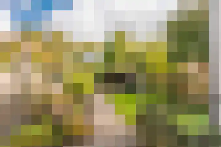Woldweg 15 Foxhol thumbnail 4