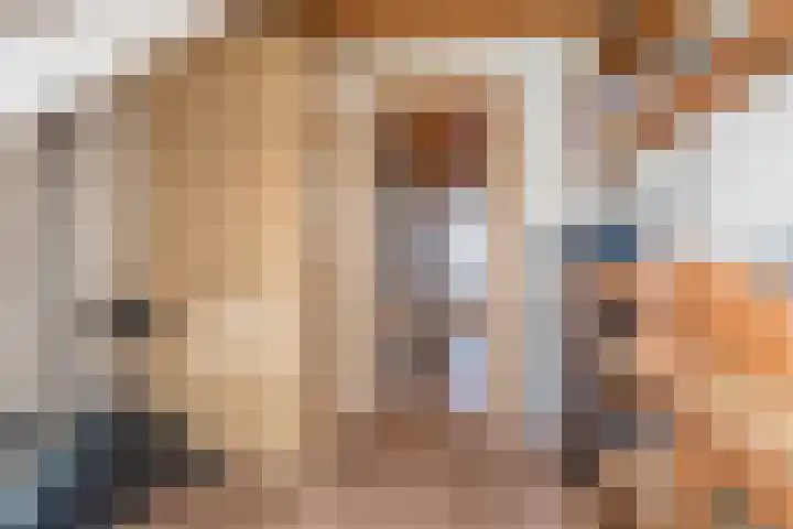 Woldweg 15 Foxhol thumbnail 44