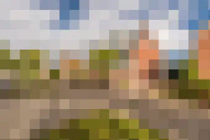 Woldweg 15 Foxhol thumbnail 6