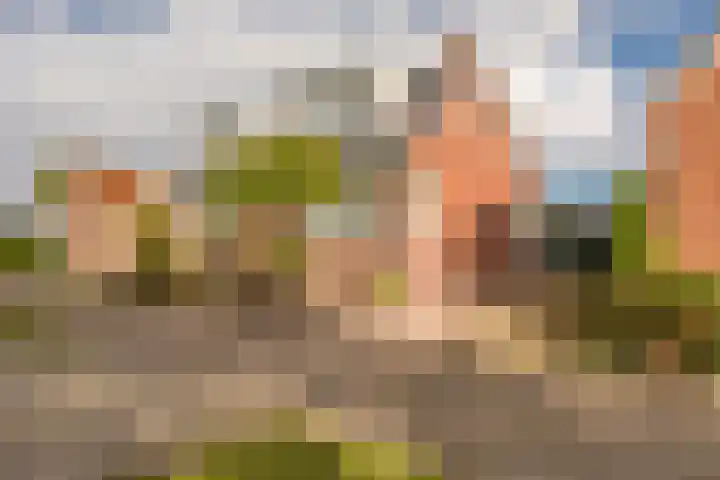 Woldweg 15 Foxhol thumbnail 7