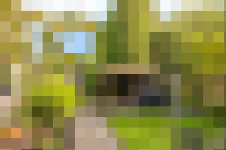 Woldweg 15 Foxhol thumbnail 8