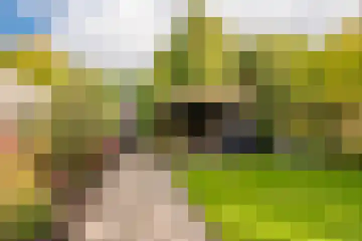 Woldweg 15 Foxhol thumbnail 9