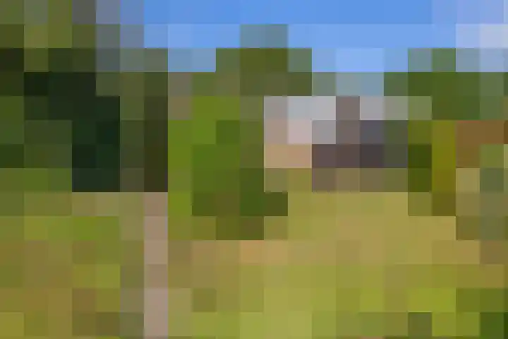 Woldweg 151 e Kropswolde thumbnail 7