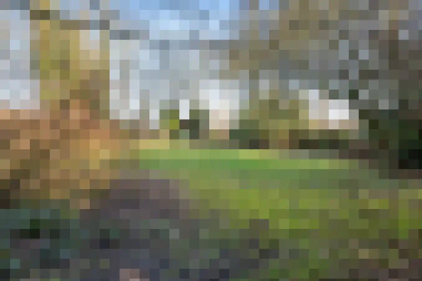 Woldweg 161 Kropswolde thumbnail 44