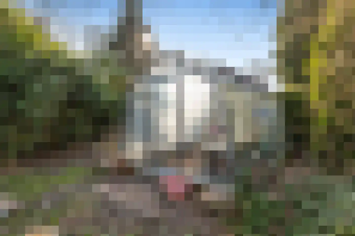 Woldweg 161 Kropswolde thumbnail 47
