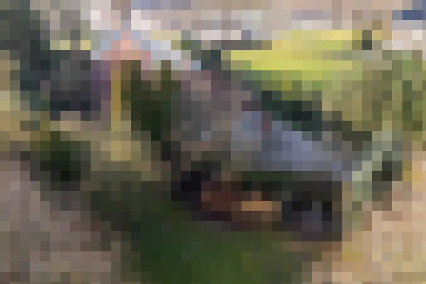 Woldweg 161 Kropswolde thumbnail 58