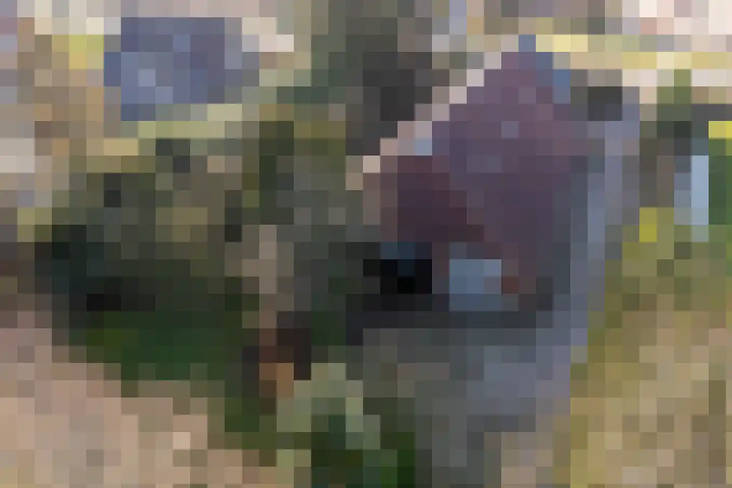 Woldweg 161 Kropswolde thumbnail 59