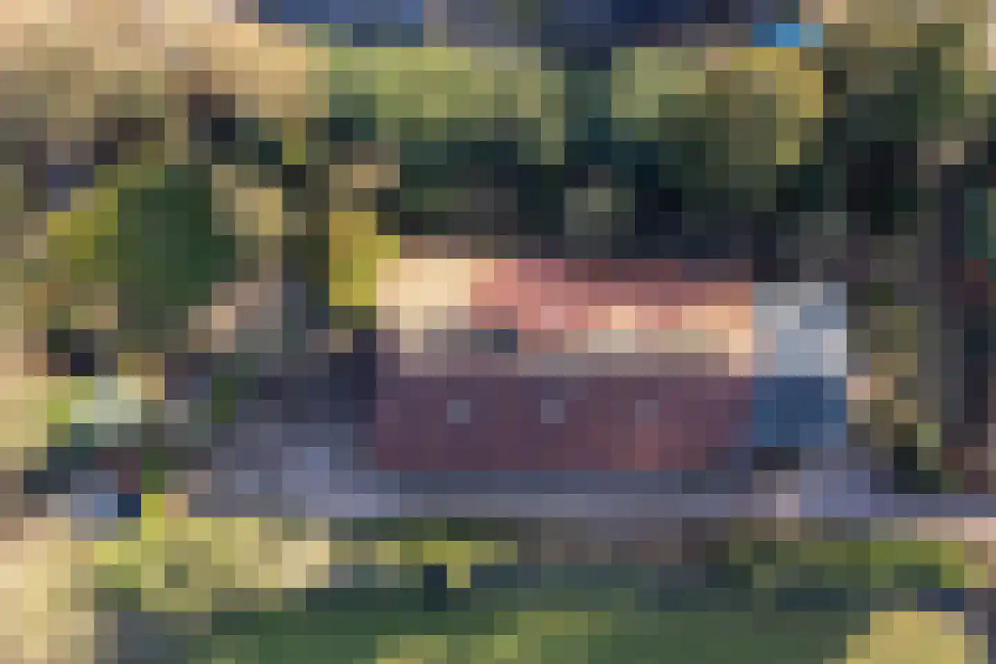 Woldweg 161 Kropswolde thumbnail 60