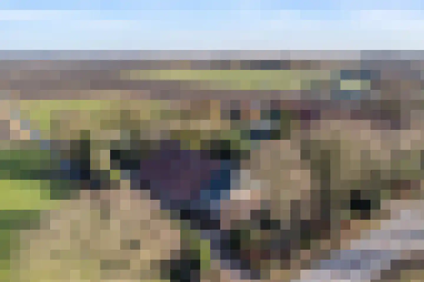 Woldweg 161 Kropswolde thumbnail 61