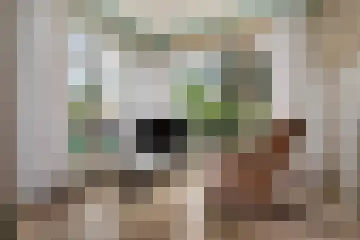 Woldweg 166 Kropswolde thumbnail 13