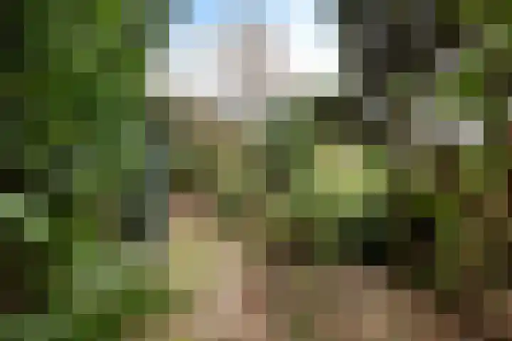 Woldweg 166 Kropswolde thumbnail 28